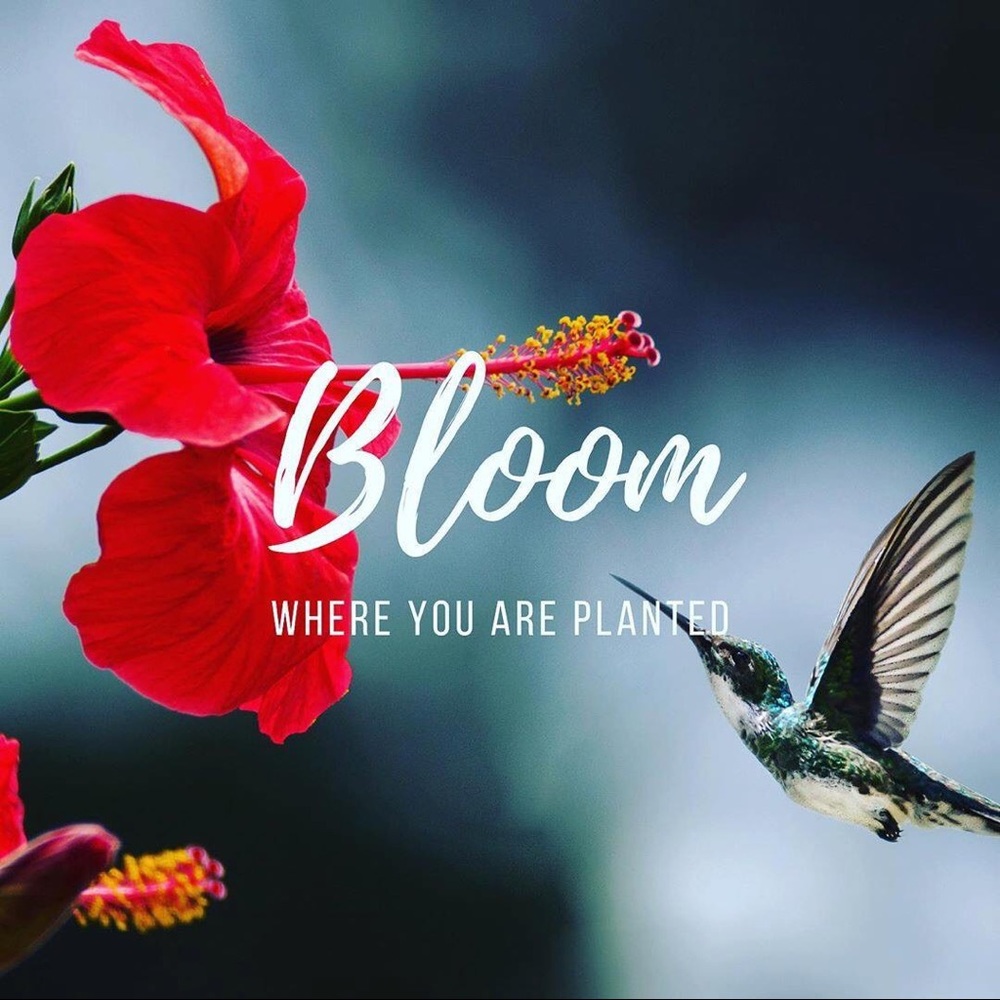 Meet your Posher, Mirzeta